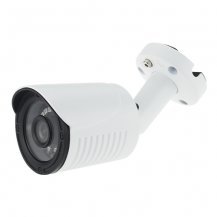 ICF24IR-2, ������� IP-����������� 2 ��, Altcam