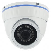 IDMV24IR, �������������� IP-����������� 2��, Altcam